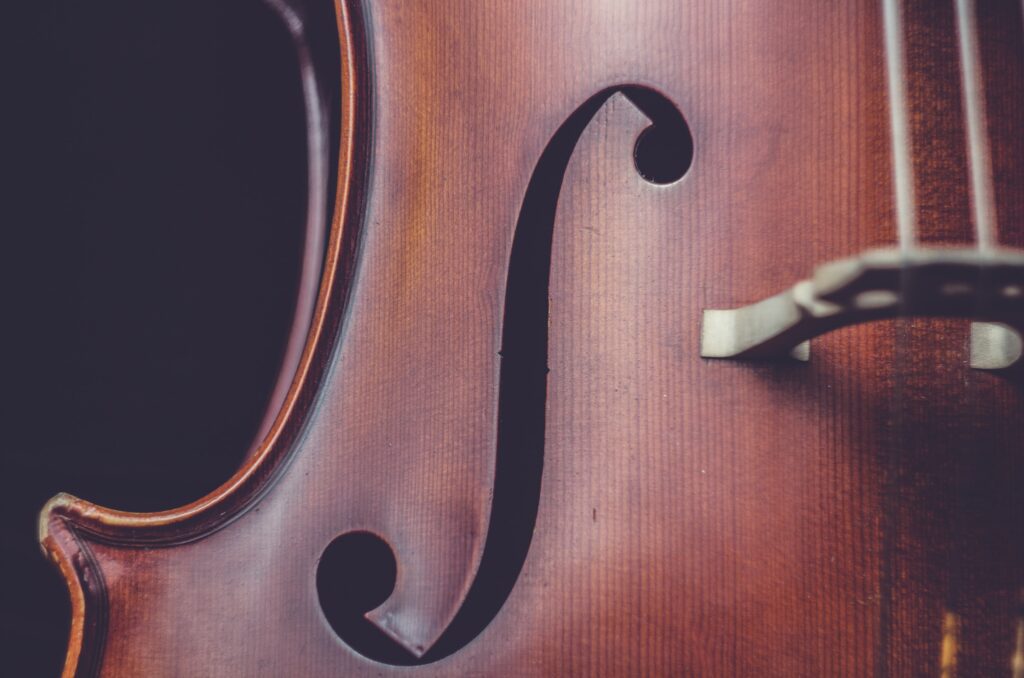 zoomed in violin