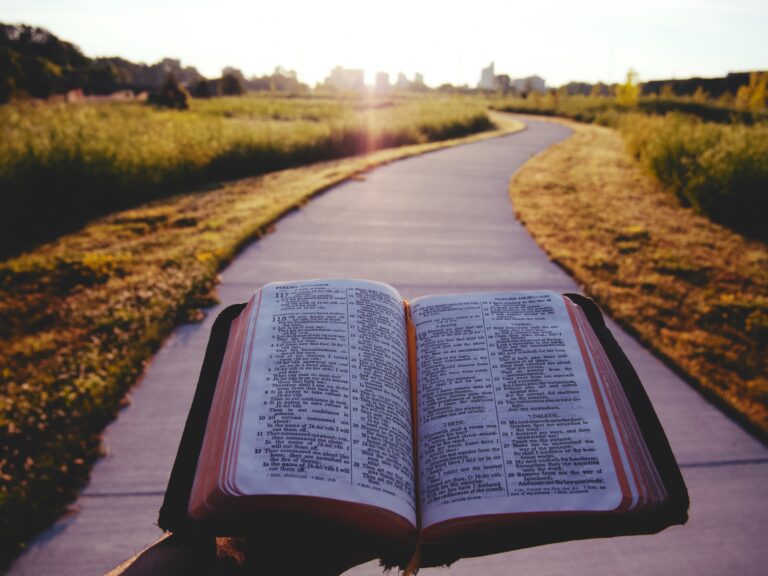 reading bible on pathway